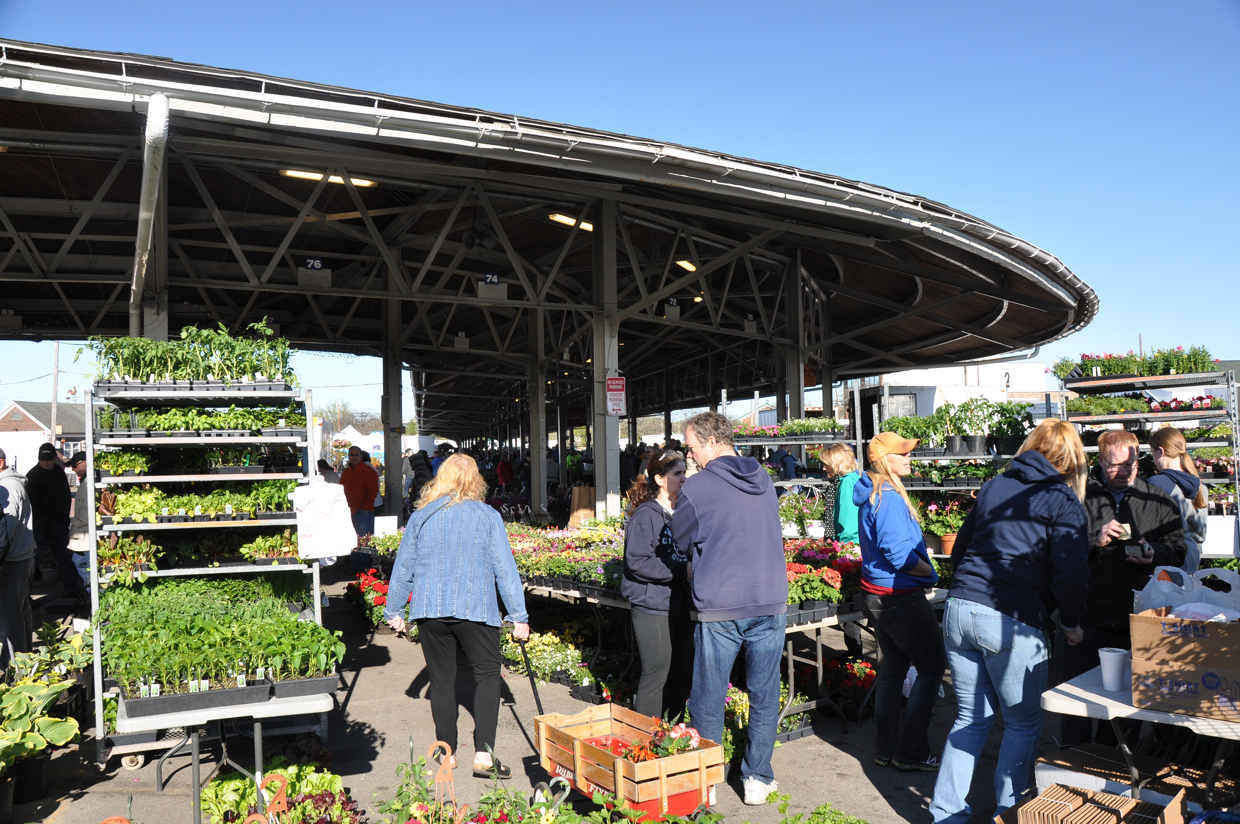 Flower City Produce Rochester Ny Best Flower Site