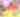 KIDZ BOP LIVE Certified BOP Tour