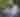 Locked Zoo: Cryptic Cats