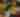 Grand Rapids International Wine, Beer, and Food Festival