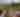 Summer Concert Series at Farmhaus Farms: Funkle Jesse