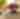Robinette's Apple Haus & Winery