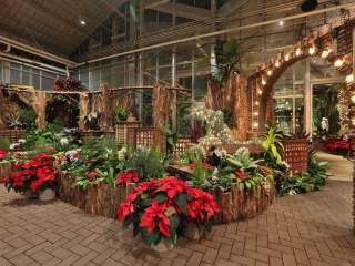 Christmas and Holiday Traditions