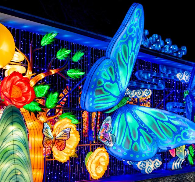 The Grand Rapids Lantern Festival - Grand Rapids MI, 49504