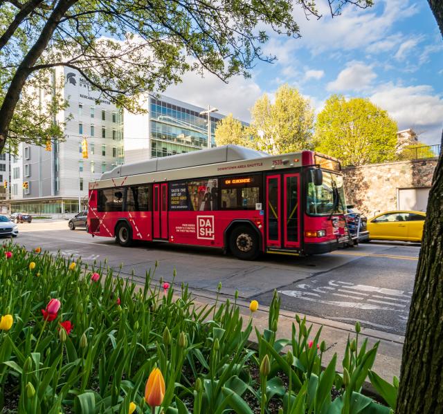 DASH Downtown Area Shuttle - Grand Rapids MI, 49501