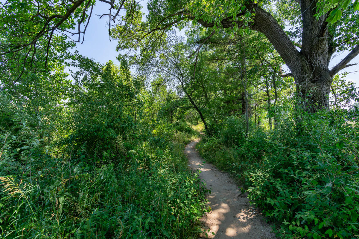 Merrell Trail - Belmont MI, 49341