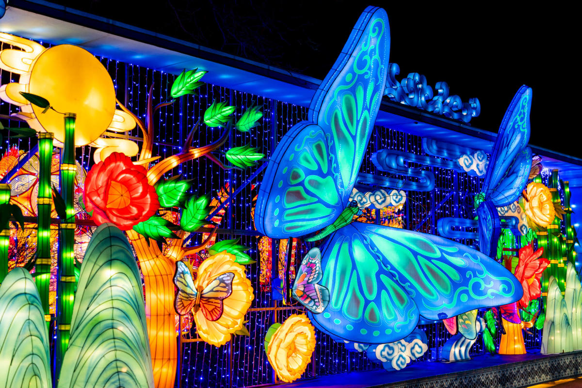 The Grand Rapids Lantern Festival - Grand Rapids MI, 49504