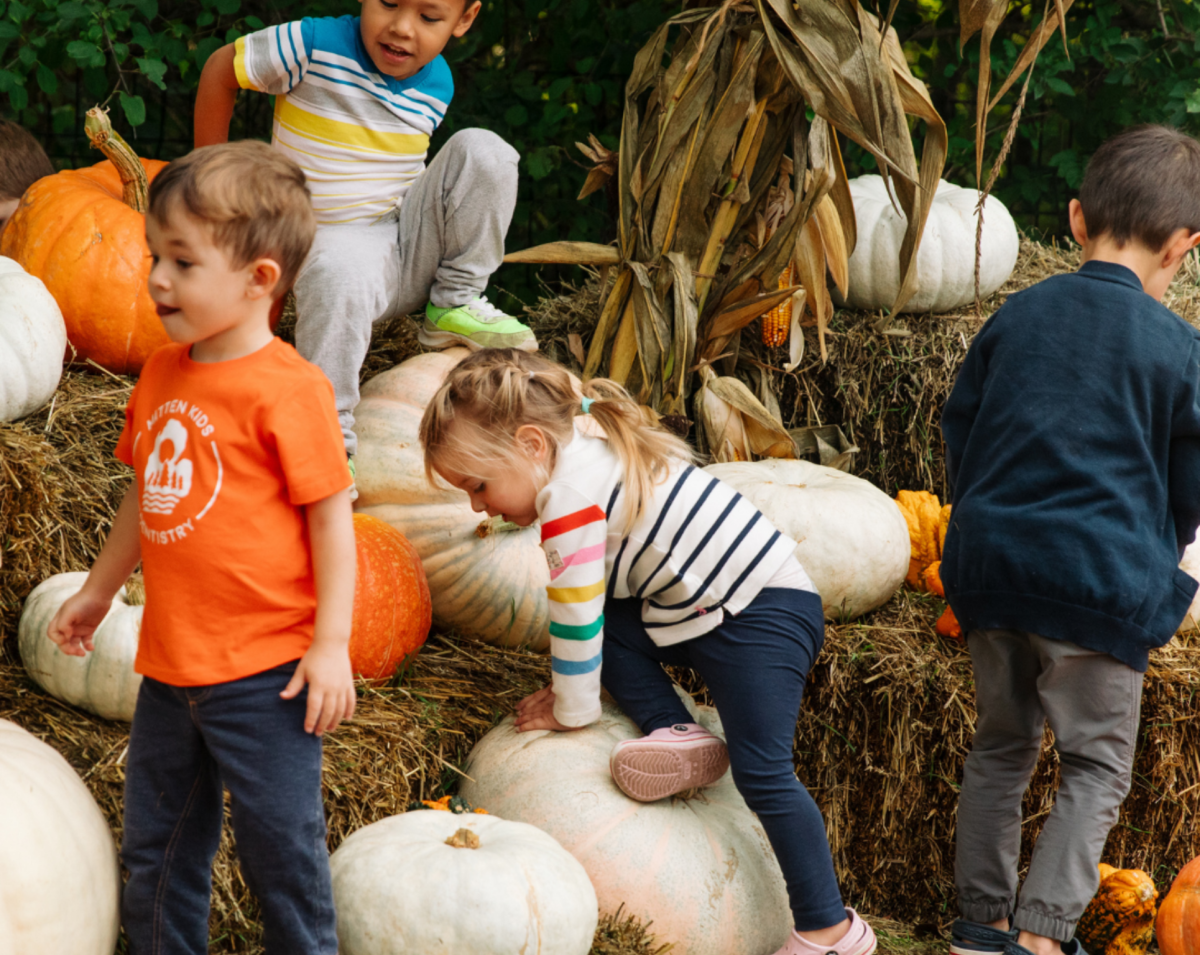 Frederik Meijer Gardens & Sculpture Park: Autumn Weekends at Meijer Gardens