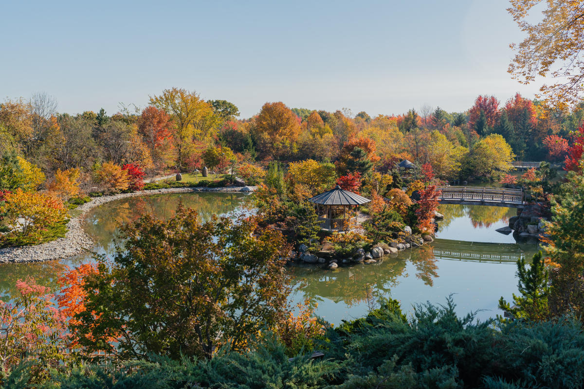 Hotels near Meijer Gardens: Top Stays for Visitors