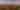 Downtown Skyline with Golden Hues and Moon, 2021