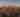 Downtown Skyline with Golden Hues and Moon, 2021