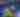 05152025_ToastTheTown_17