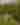 10112024_Robinettes_Apple_Haus_065