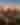 Downtown Skyline with Golden Hues and Moon, 2021