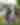Families and couples at Reeds Lake/ John Collins Park