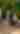 061125_Meijer-Gardens-Tours_108