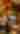 10112024_Robinettes_223