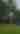 Disc golfers at Riverside Park