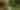 09212025_Peace_ArtPrize_012