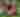 10032024_ArtPrize_Family_029