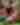 10032024_ArtPrize_Family_029