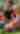 10032024_ArtPrize_Family_029