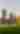 Ah-Nab-Awen Park Looking to the Skyline, 2022