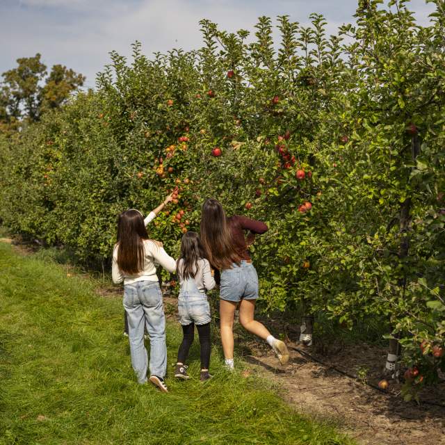 10112024_Robinettes_Apple_Haus_065