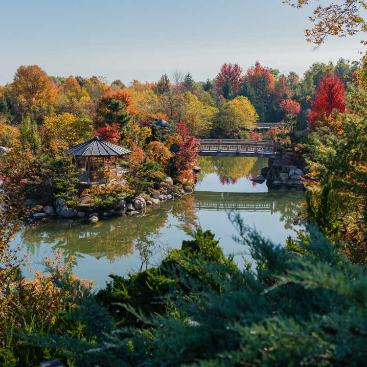 Autumn at Meijer Gardens