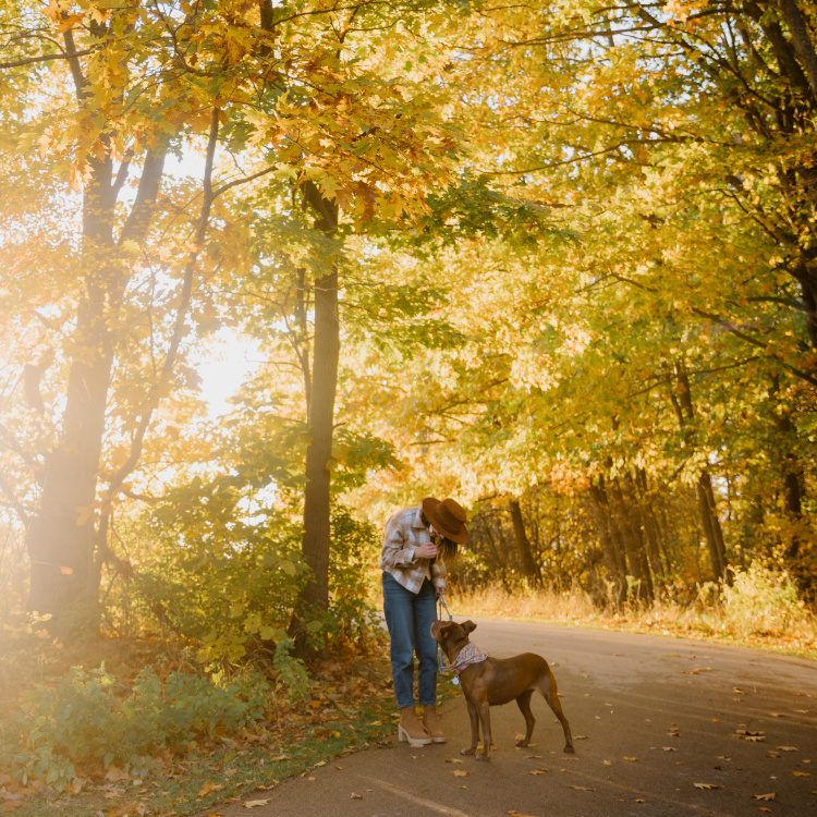Grand Ravines South & Dog Park