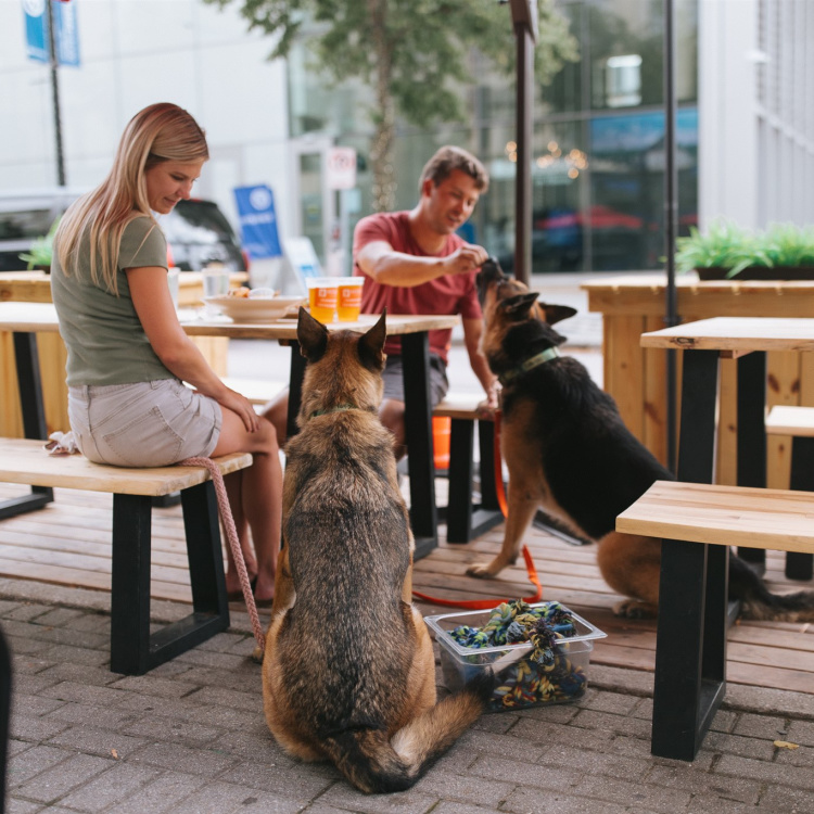 Uccello's dog-friendly social zone