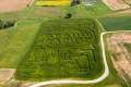 A vast corn maze shaped like "GRAND RAPIDS" and a city skyline is carved into a field, surrounded by agricultural land and distant trees.