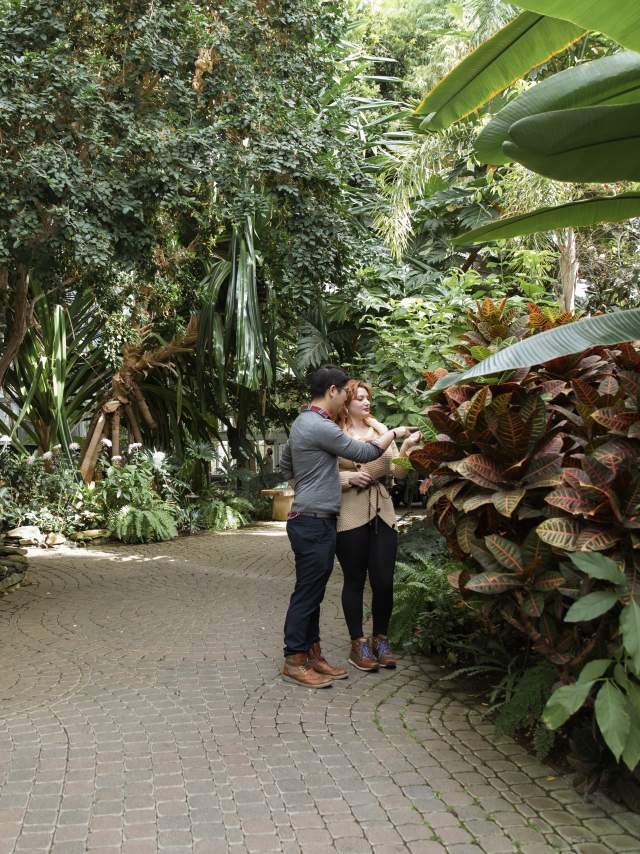 Inside the Conservatory at Frederik Meijer Gardens & Sculpture park
