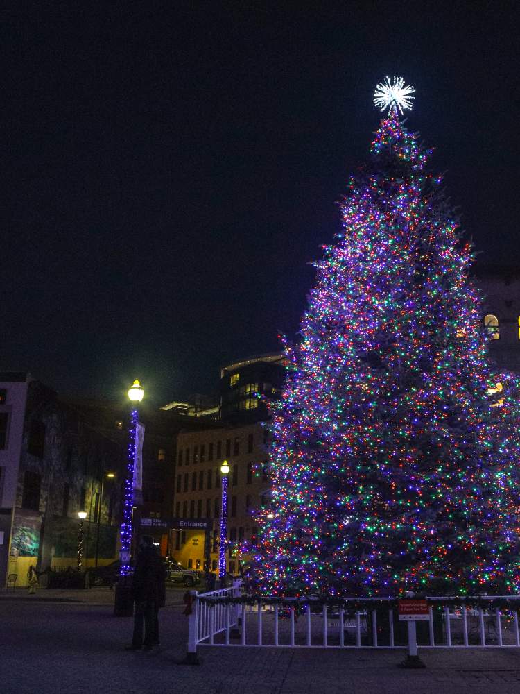Grand Rapids Winter Activities Holiday Events & Attractions