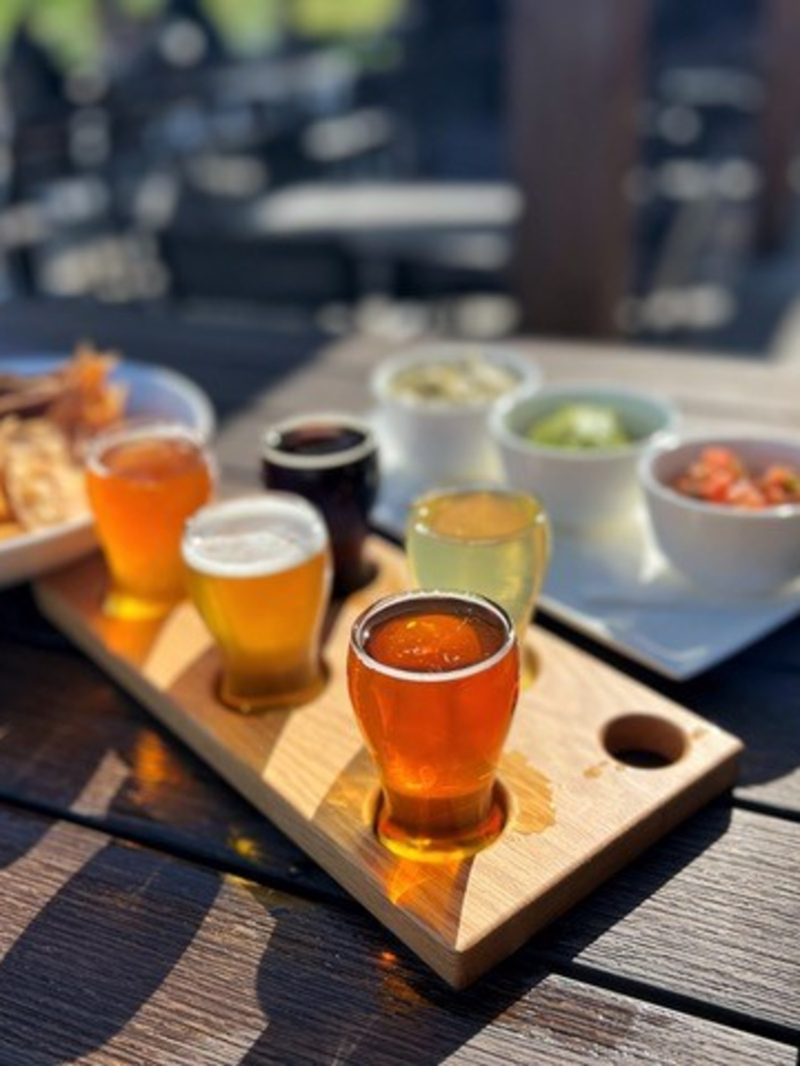 Archival Brewing - Flight