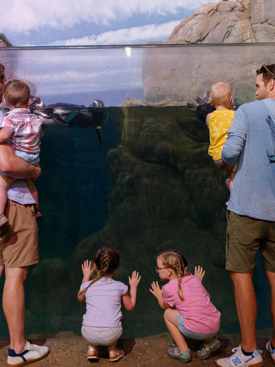 Family at the John Ball ZooPlay Their Way 2023