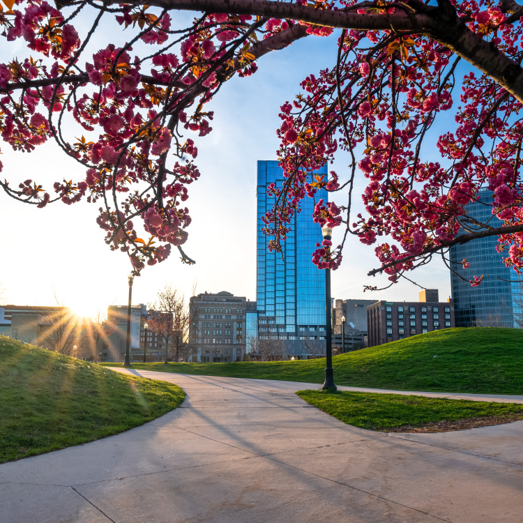 Grand Rapids in Spring