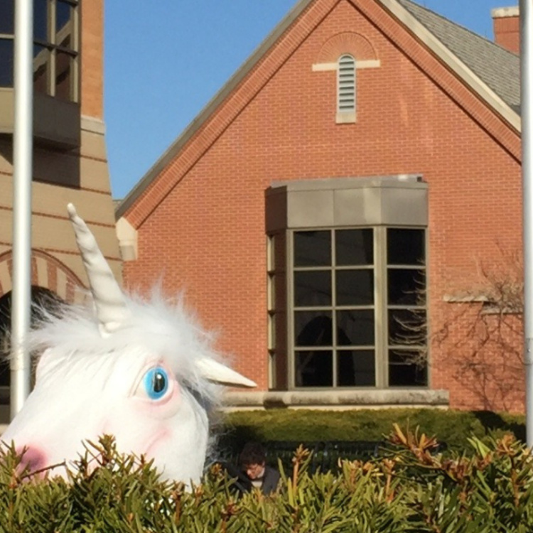 Unicorn header