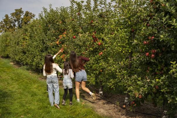 10112024_Robinettes_Apple_Haus_065