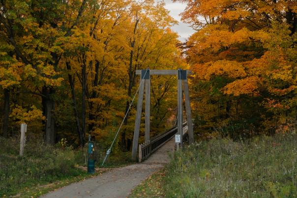 Grand Ravines South & Dog Park