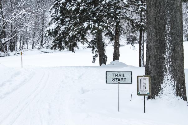 Cross-country skiing trail at Palmer Park