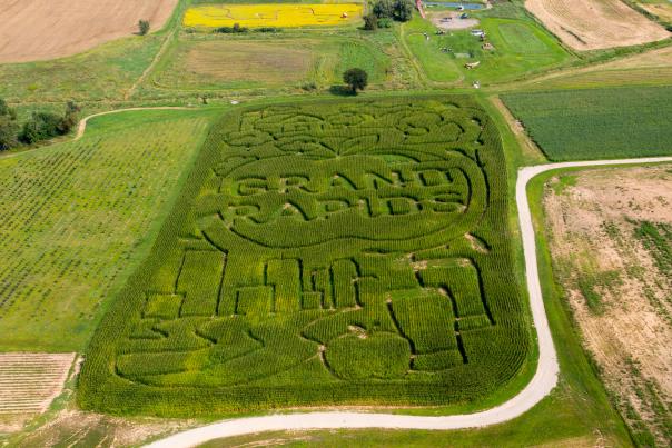 A vast corn maze shaped like "GRAND RAPIDS" and a city skyline is carved into a field, surrounded by agricultural land and distant trees.