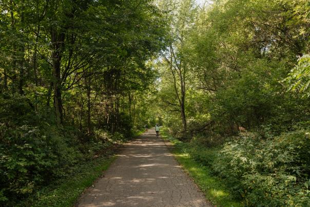 White Pine Trail in Rockford