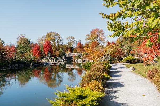 Autumn at Meijer Gardens
