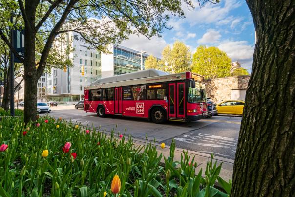 DASH bus 2024