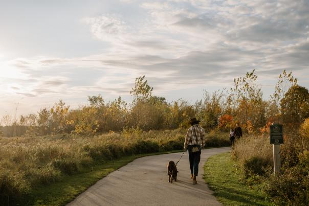 Grand Ravines South & Dog Park