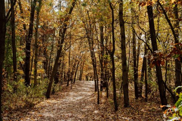 10242024_Provin_Trail_067