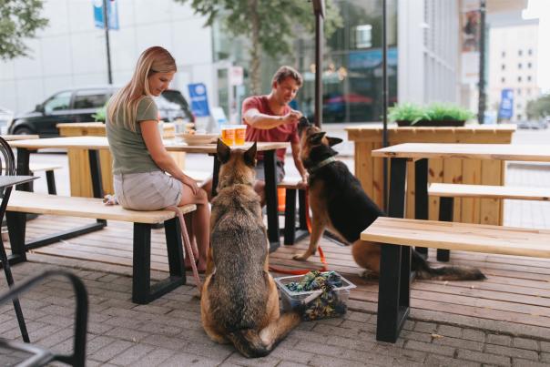 Uccello's dog-friendly social zone