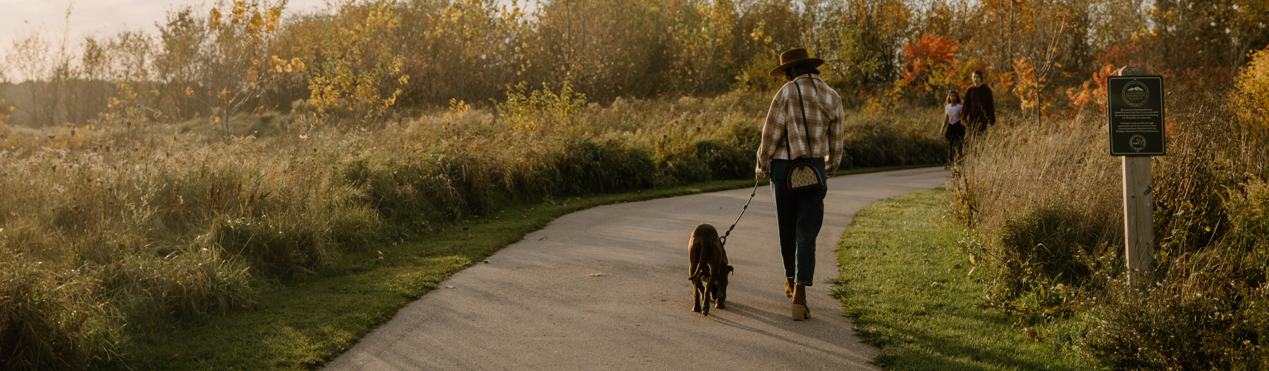 Great dog walking places near me online