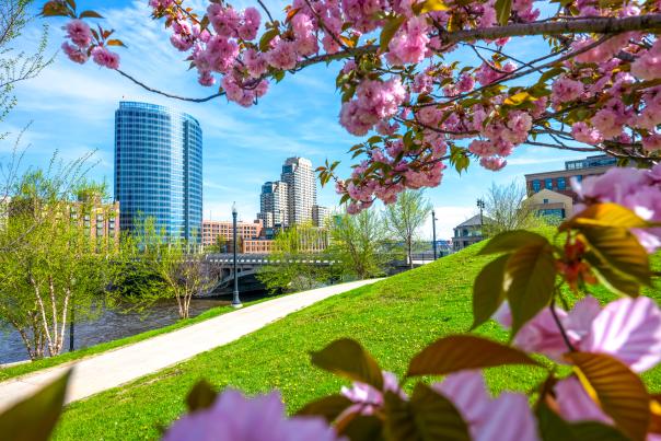 Pink cherry blossoms frame a view of a city skyline with a river and green park in the foreground.